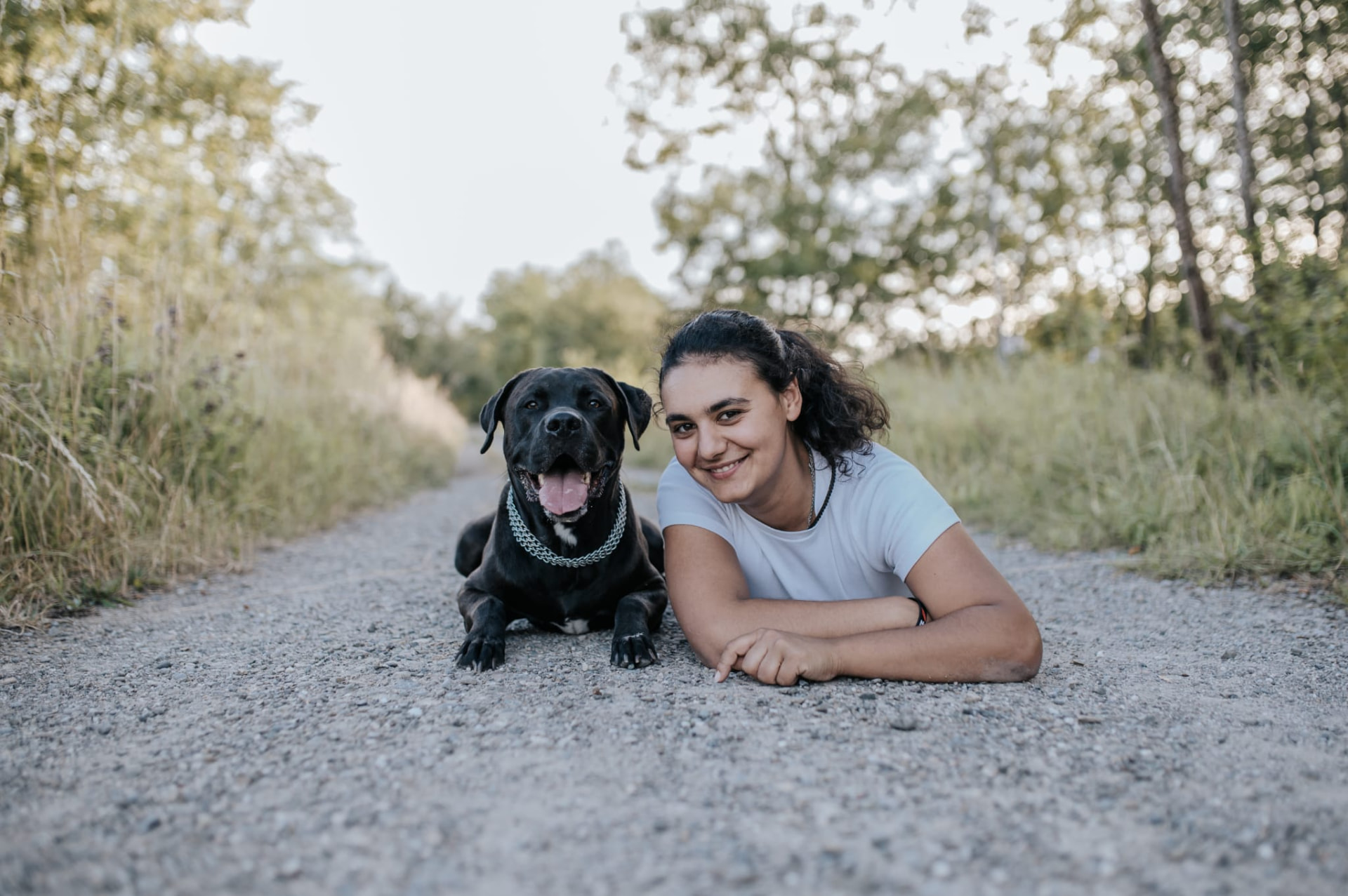 Sid, der Trainerhund