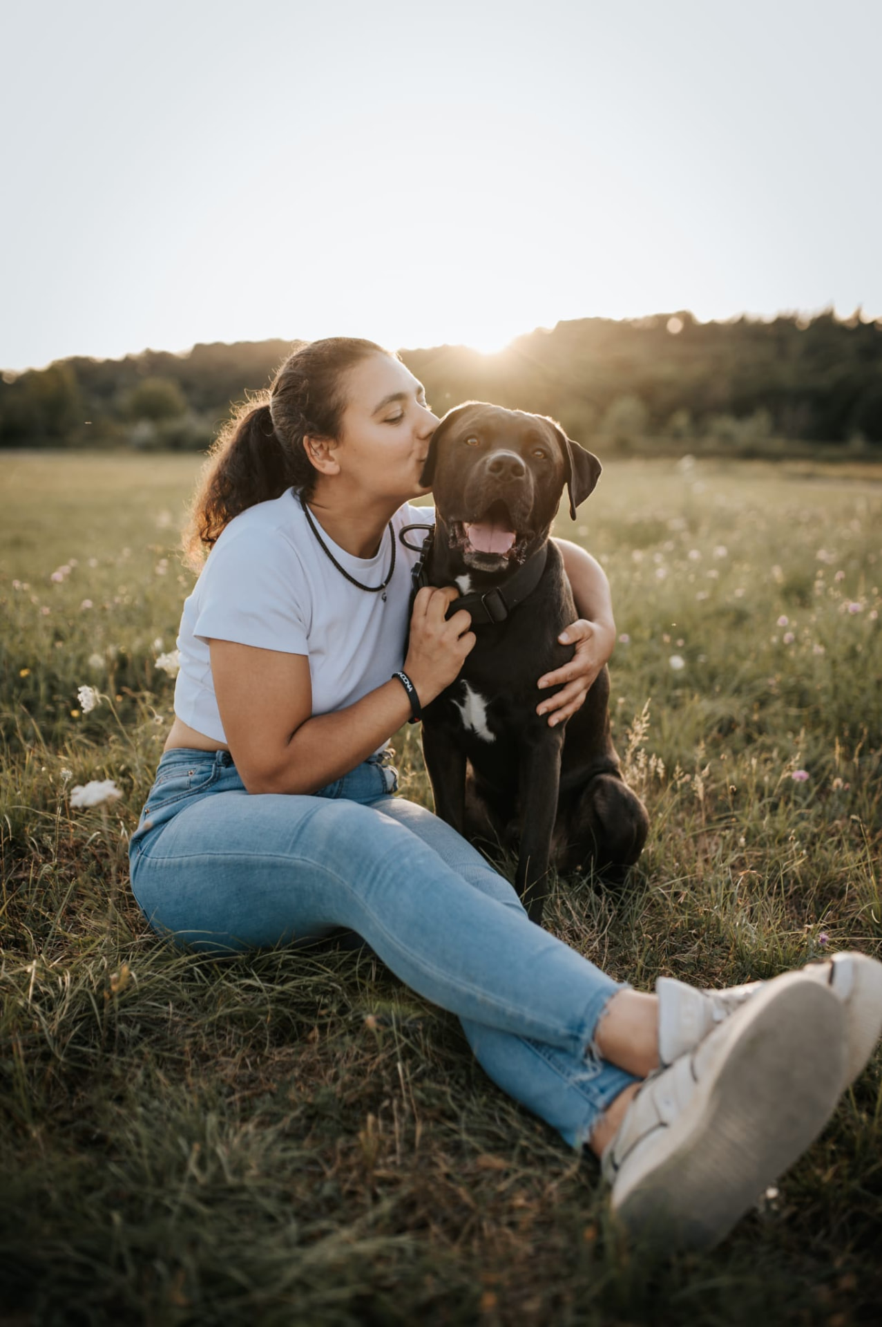 Mensch und Hund auf einem ruhigen Waldweg